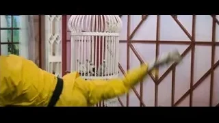 man in karate uniform near birdcage — Bruce Lee: Enter The Dragon