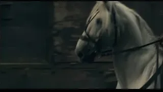 white horse with black bridle — Peaky Blinders