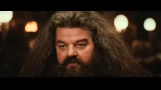 man with beard looking intensely in dimly lit room — Harry Potter and the Philosophers Stone