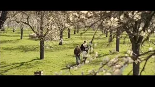 Man and woman walking through flowering orchard — Doctor Strange 2