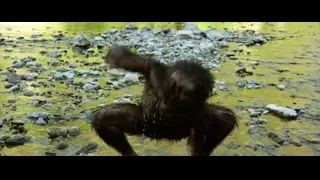 distressed chimpanzee standing in water — Lucy
