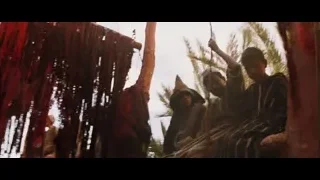 People hanging from palm tree branches — Gladiator