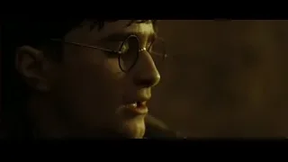 Young man with glasses, eyes closed — Harry Potter and the Deathly Hallows 2