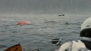whales swimming in choppy ocean — Interstellar