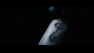 Person's arm with octopus tattoo — Harry Potter and the Goblet of Fire