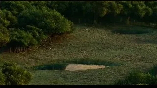 forested landscape with small ponds — Life of Pi