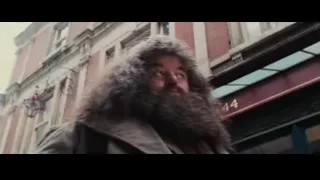 Man with beard walking on street — Harry Potter and the Philosophers Stone