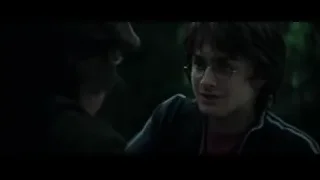 Harry Potter in a wooded area — Harry Potter and the Goblet of Fire