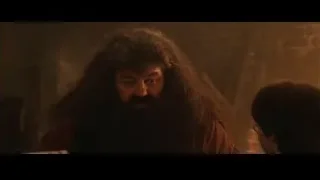 man deep in thought with another person — Harry Potter and the Philosophers Stone