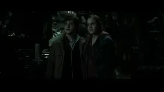 Hermione and Ron in dimly lit room — Harry Potter and the Deathly Hallows 2