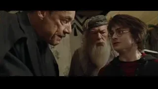 Harry Potter characters with older man — Harry Potter and the Goblet of Fire