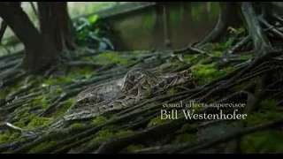leopard walking through forest — Life of Pi