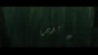 Person in murky water holding fish — Harry Potter and the Goblet of Fire