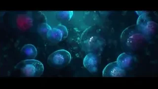 Colorful jellyfish floating underwater — Lucy