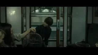 young people sitting on train with birdcage — Harry Potter and the Deathly Hallows 2