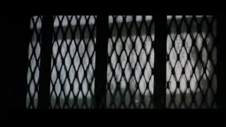 Window with chain-link fence and trees — Creed