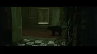 black cat walking towards doorway — The Matrix