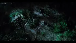 Dark eerie forest floor with leaves — Jurassic World
