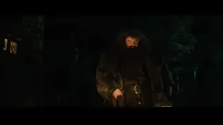 bearded man with lantern in dark forest — Harry Potter and the Philosophers Stone