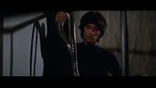 man holding a snake in dark room — Bruce Lee: Enter The Dragon