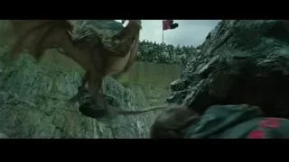 young boy and dragon on rocky cliff — Harry Potter and the Goblet of Fire