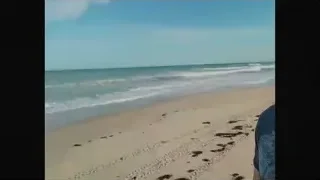Man smiling on sandy beach with ocean — Elon Musk: Return to Space