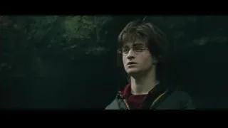 Ron Weasley in black jacket and red scarf — Harry Potter and the Goblet of Fire