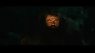 man with beard in fur coat — Harry Potter and the Philosophers Stone