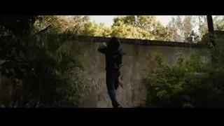 black panther walking in a garden — Iron Man 3