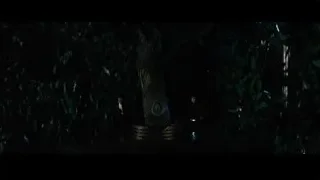 People with flashlight in dark forest — Now You See Me