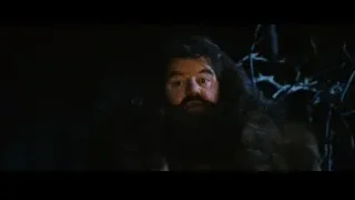 Man with beard and fur coat — Harry Potter and the Philosophers Stone