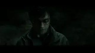 Harry Potter standing in dark forest — Harry Potter and the Deathly Hallows 2