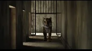 tiger walking in dark corridor — Life of Pi