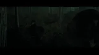 person in dark eerie forest with lantern — Harry Potter and the Goblet of Fire