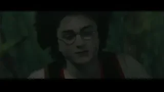 Young man with glasses in forest — Harry Potter and the Goblet of Fire