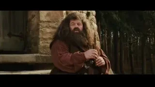 Man with beard on stone bench — Harry Potter and the Philosophers Stone