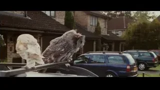 owl perched on car roof — Harry Potter and the Philosophers Stone