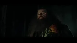 man holding flower in dark room — Harry Potter and the Goblet of Fire