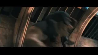 person in dark room with metal gate — Harry Potter and the Philosophers Stone