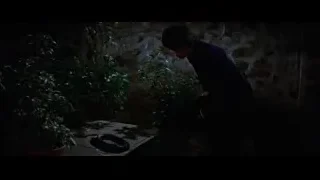 Person kneeling tending plants in dark room — Bruce Lee: Enter The Dragon