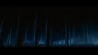People standing in dark forest — Harry Potter and the Philosophers Stone