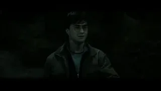 Daniel Radcliffe standing in dark forest — Harry Potter and the Deathly Hallows 2