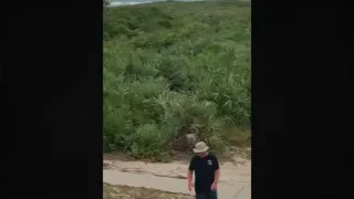 Man holding baseball bat on sandy beach — Elon Musk: Return to Space