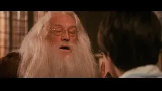 elderly man with beard in brown robe — Harry Potter and the Philosophers Stone