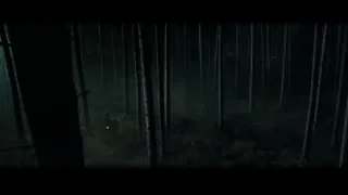 person walking with flashlight in dark forest — Harry Potter and the Goblet of Fire