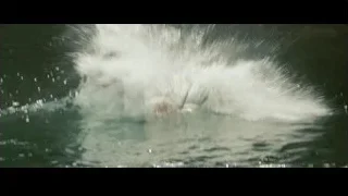 Large splash of water — Into the Wild