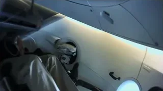 person sitting in airplane seat — Elon Musk: Return to Space