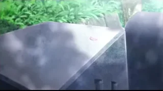 concrete tombstone with pink flower — I Want To Eat Your Pancreas