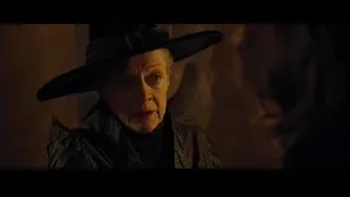 woman in witch hat and cloak — Harry Potter and the Goblet of Fire