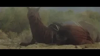 man and horse resting on ground — Gladiator